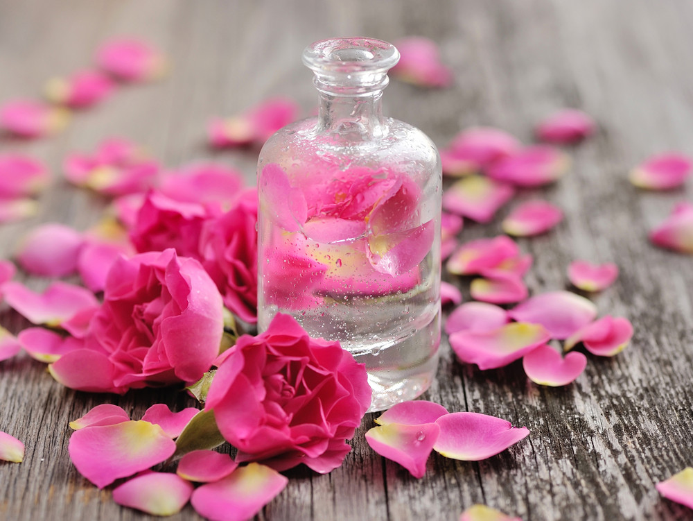 Rose Absolute Jojoba Massage Oil - Appalachian Valley Natural Products